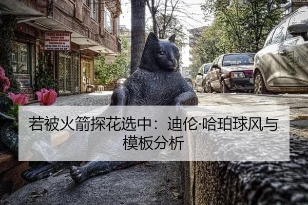 若被火箭探花选中：迪伦·哈珀球风与模板分析